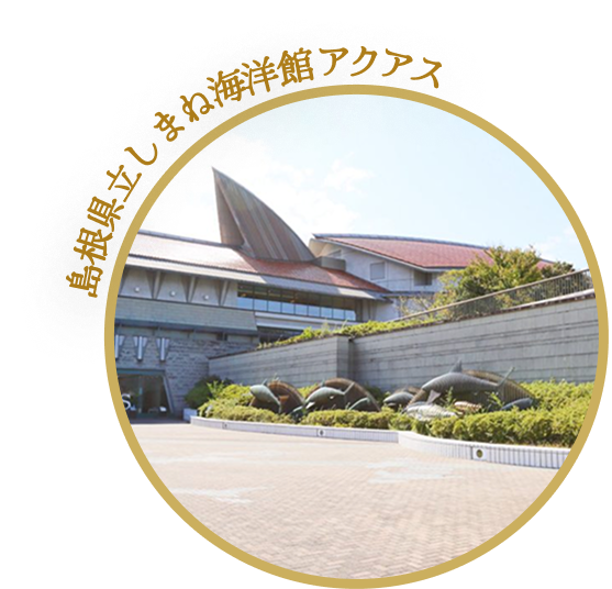 島根県立しまね海洋館アクアス